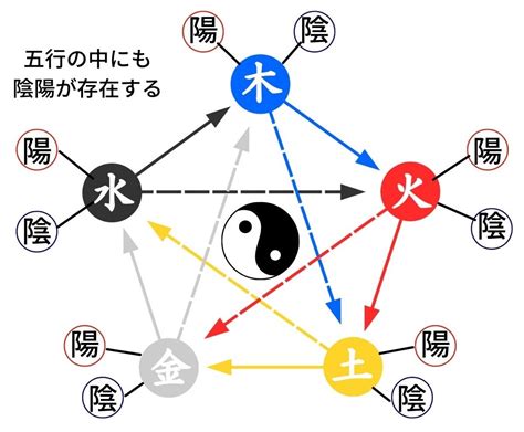 陰陽理論|「陰陽五行のサイエンス」